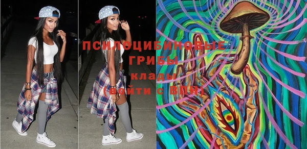 ГАЛЛЮЦИНОГЕННЫЕ ГРИБЫ Белокуриха