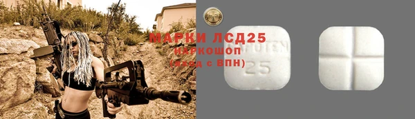 ГАЛЛЮЦИНОГЕННЫЕ ГРИБЫ Белокуриха