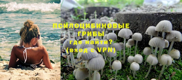 ГАЛЛЮЦИНОГЕННЫЕ ГРИБЫ Белокуриха