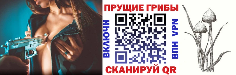 Купить где  Кольчугино  Галлюциногенные грибы GOLDEN TEACHER 